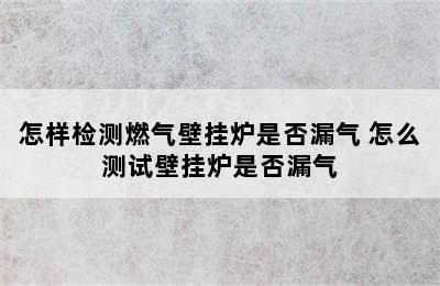 怎样检测燃气壁挂炉是否漏气 怎么测试壁挂炉是否漏气